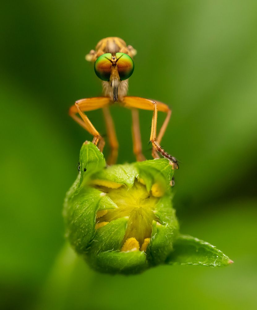 Photograph by Vinayak Naik