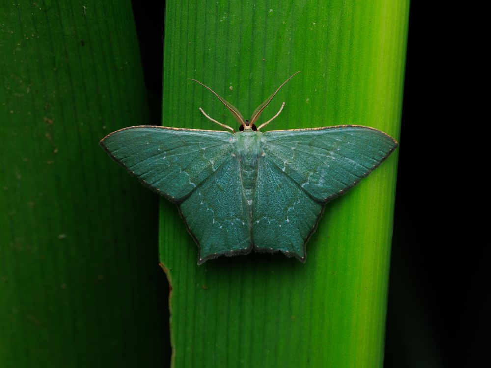 Photograph by Vinayak Naik