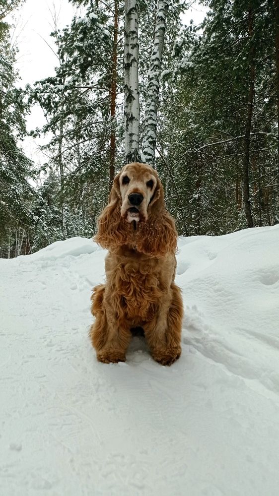 Photograph by Дегтярёв Геннадий Викторович