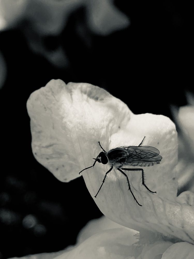 Photograph by Светлана Долганова