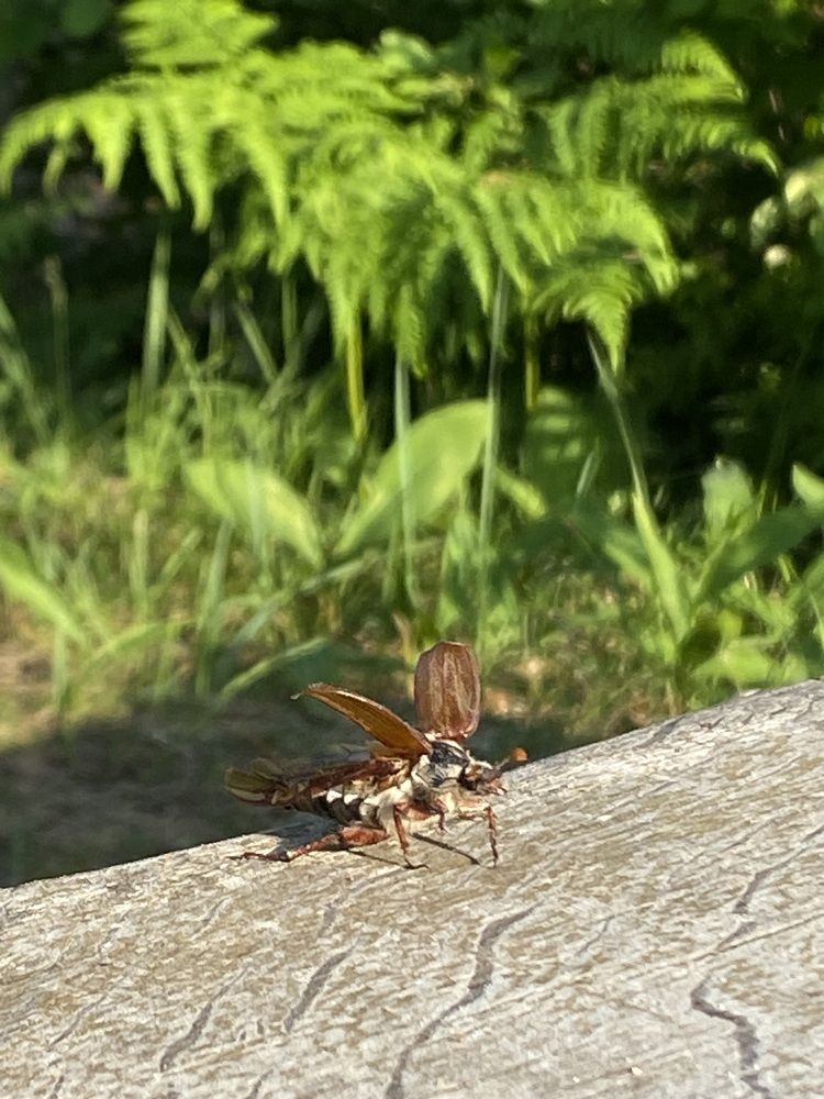 Photograph by Светлана Долганова