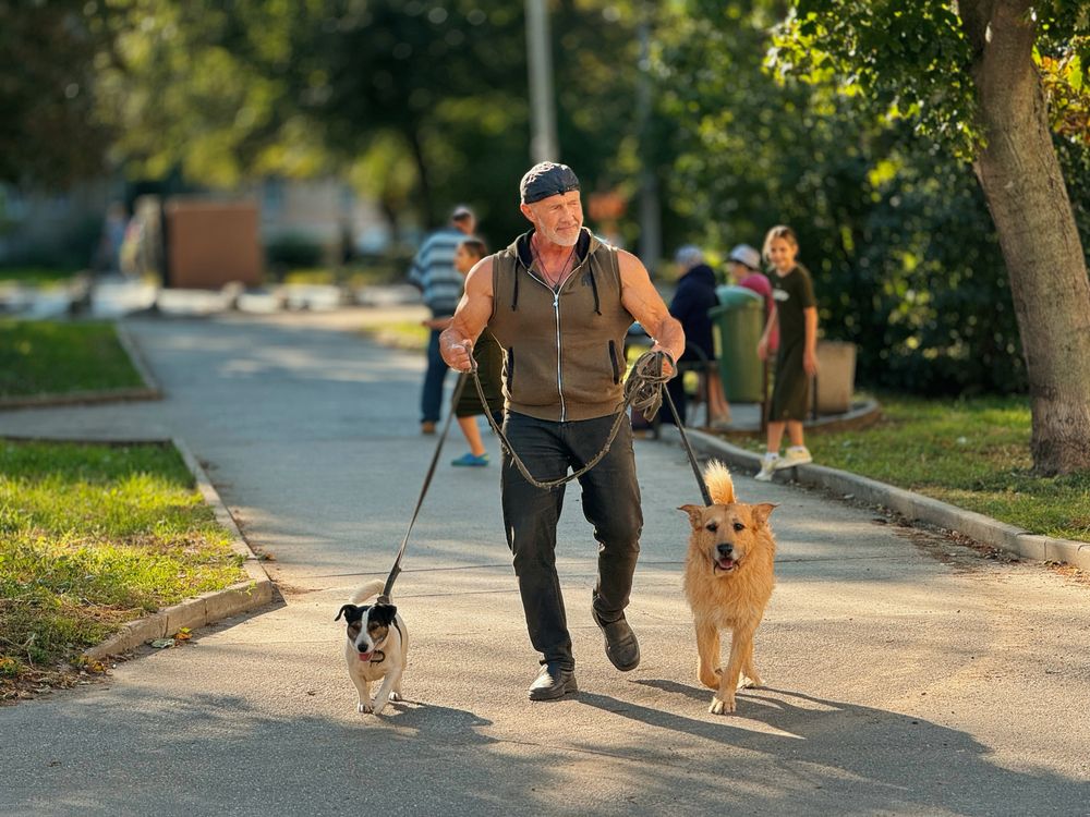 Энергия движения