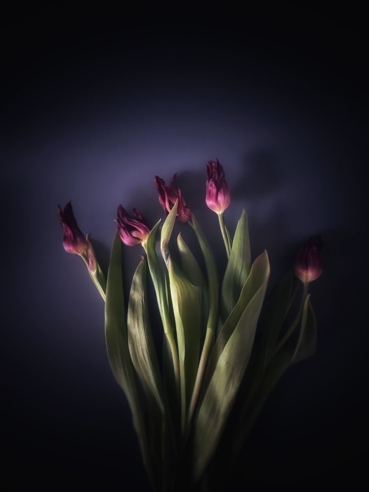 Photograph by Анна Белова