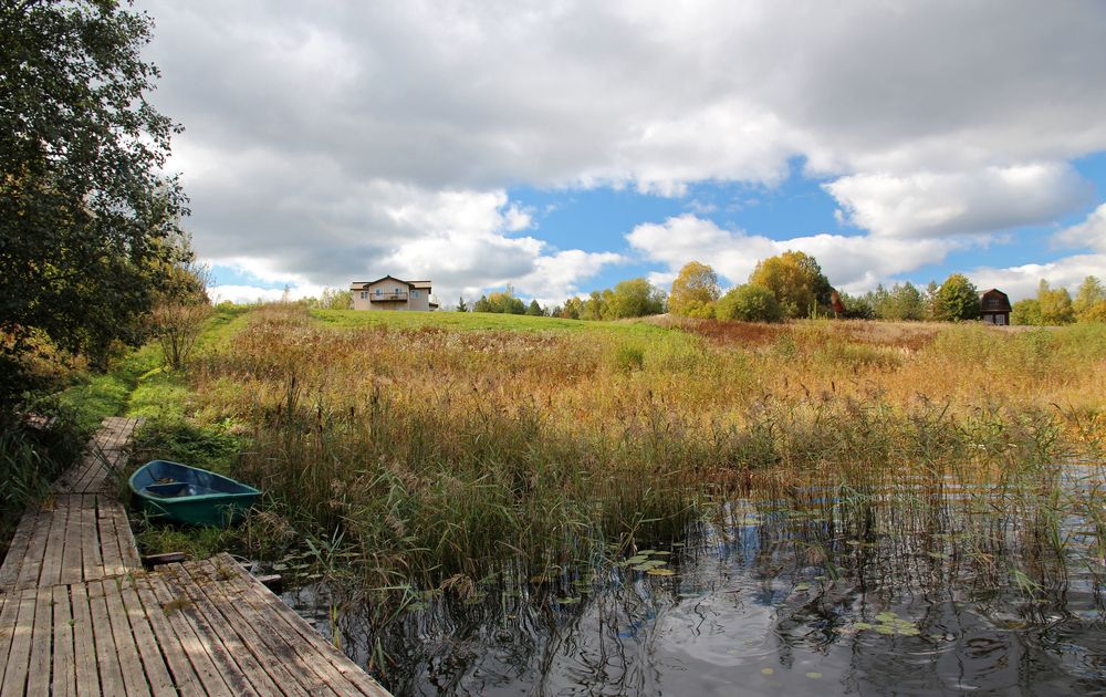 Розовый дом