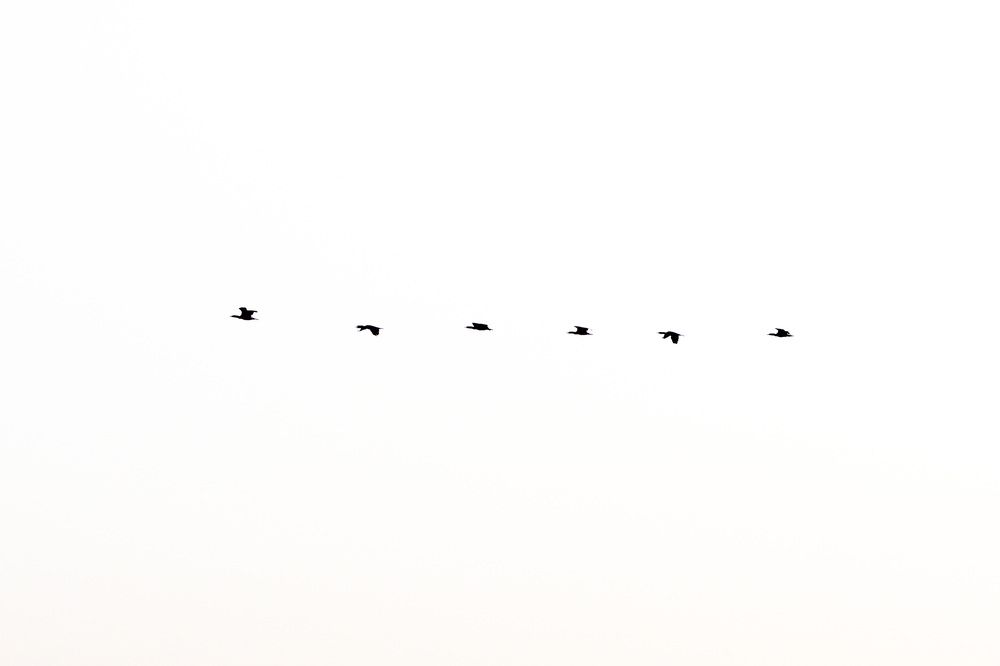 Photograph by Илья Сафаров