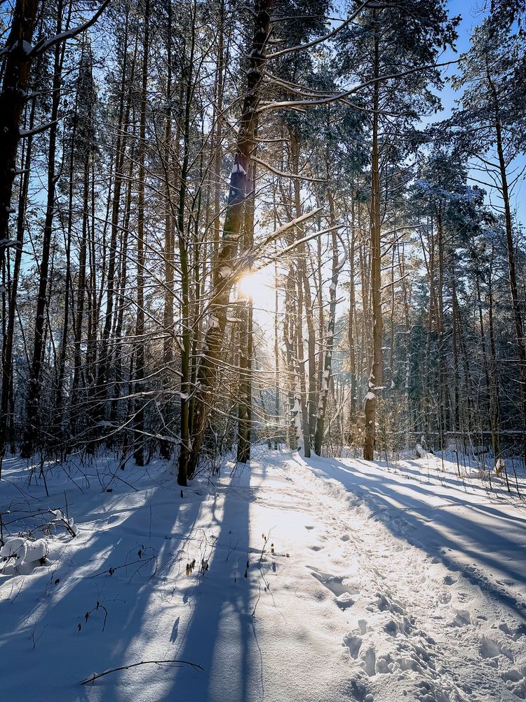 Морозное утро