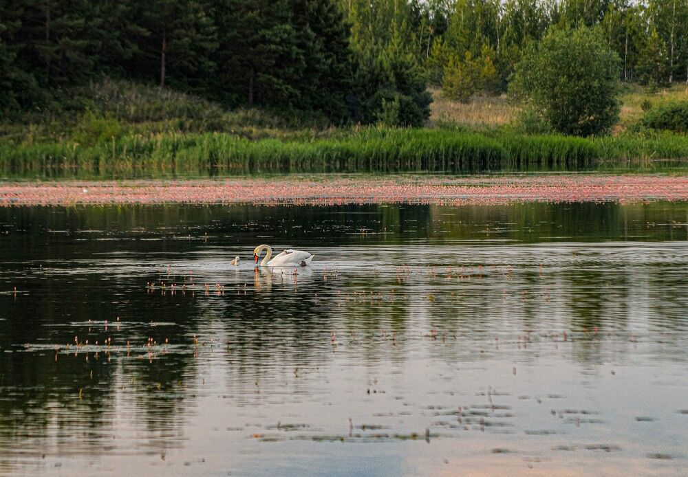 Фотография автора Дмитрий Герасимов