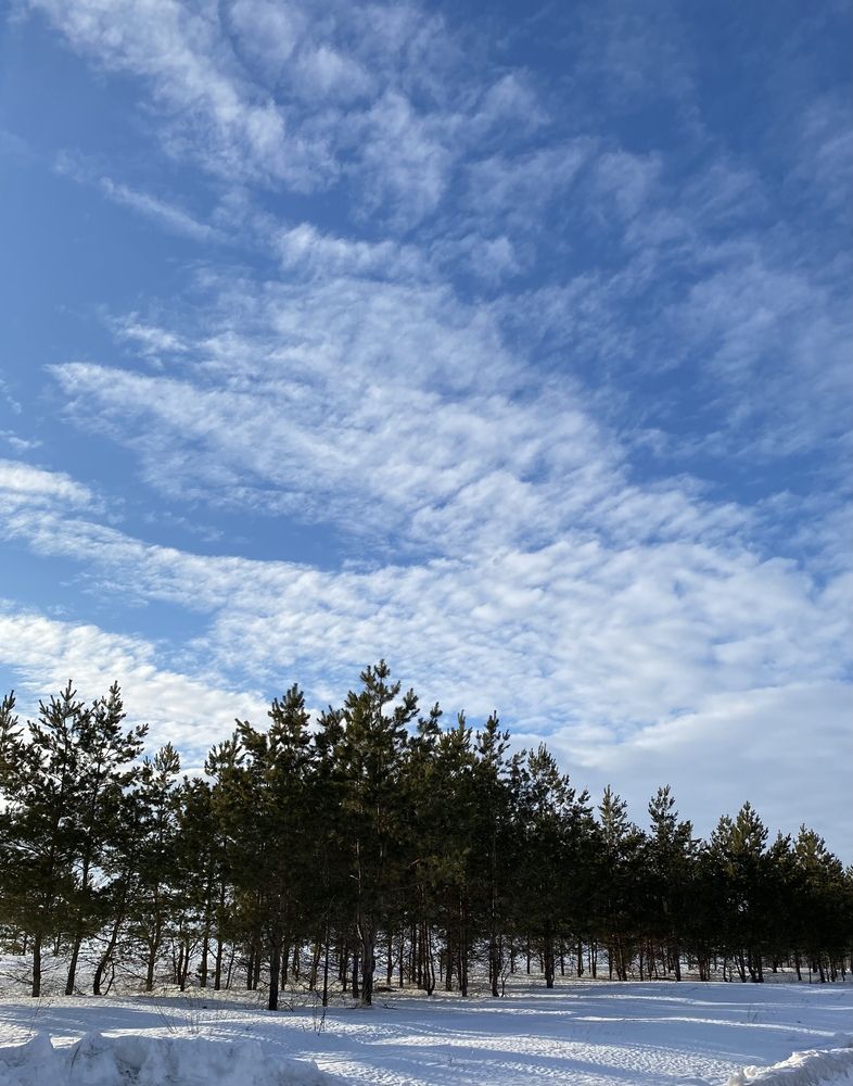 Photograph by Aлександра Чаплыгина