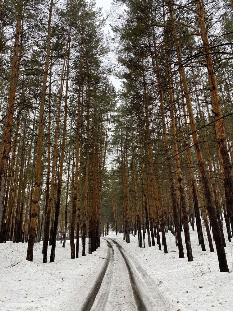 Photograph by Aлександра Чаплыгина