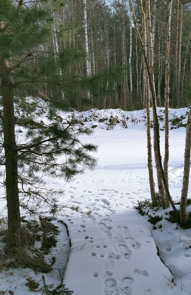 Photo #11952215