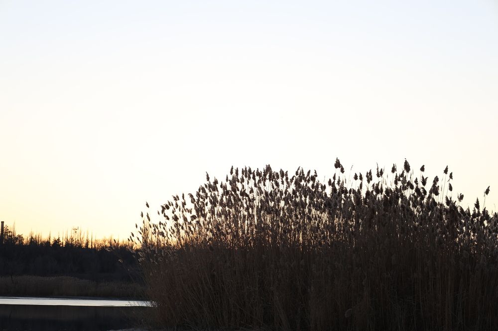 Photograph by Вячеслав Капцов