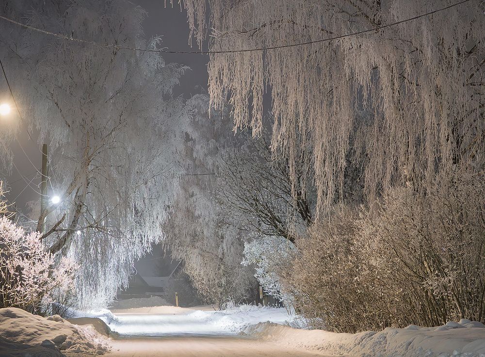 Photograph by Светлана Ващенко