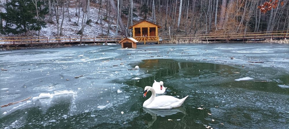 Photograph by Светлана Кучеренко