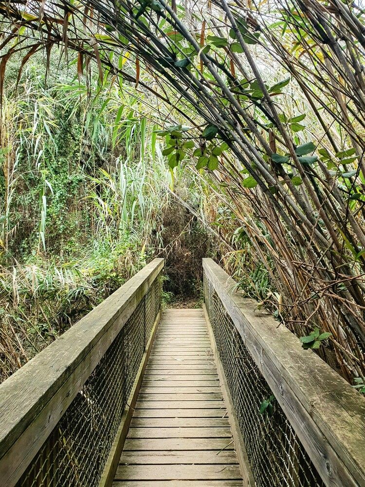 Photograph by Jasmina Zafer