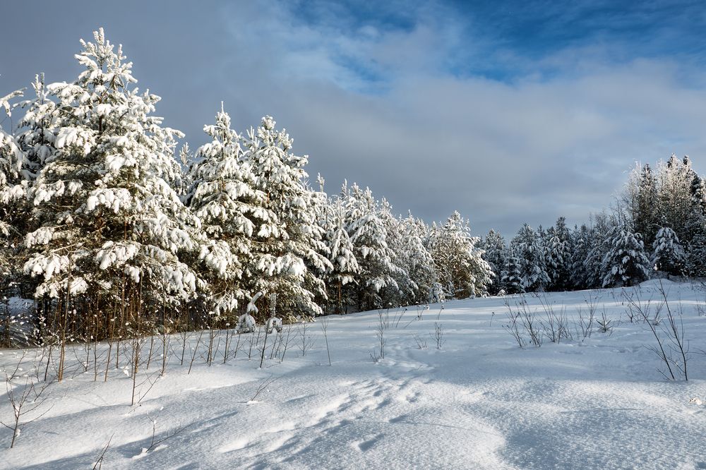Photograph by Светлана Ващенко
