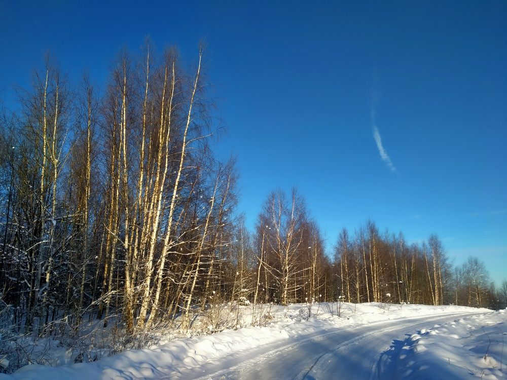 Photograph by Svetlana Aleks