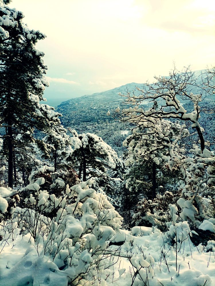 Photograph by Светлана Кучеренко