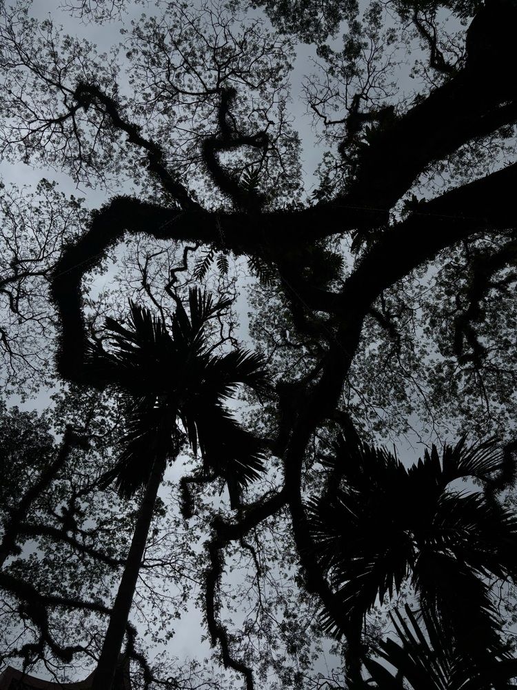 Photograph by Anastasia Higginson