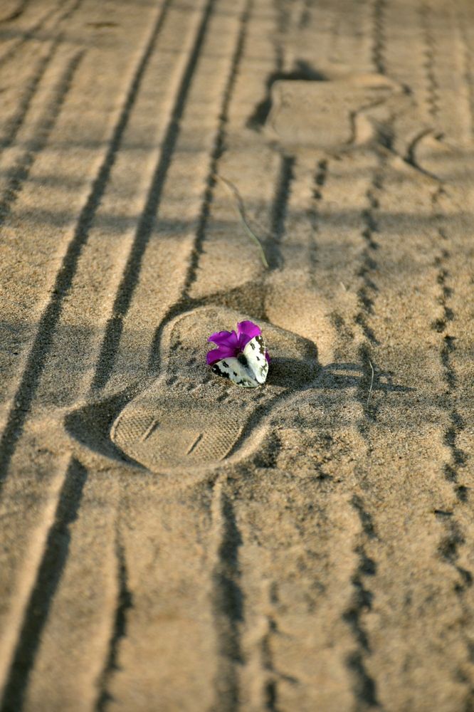 Photograph by Элеонора Безженова