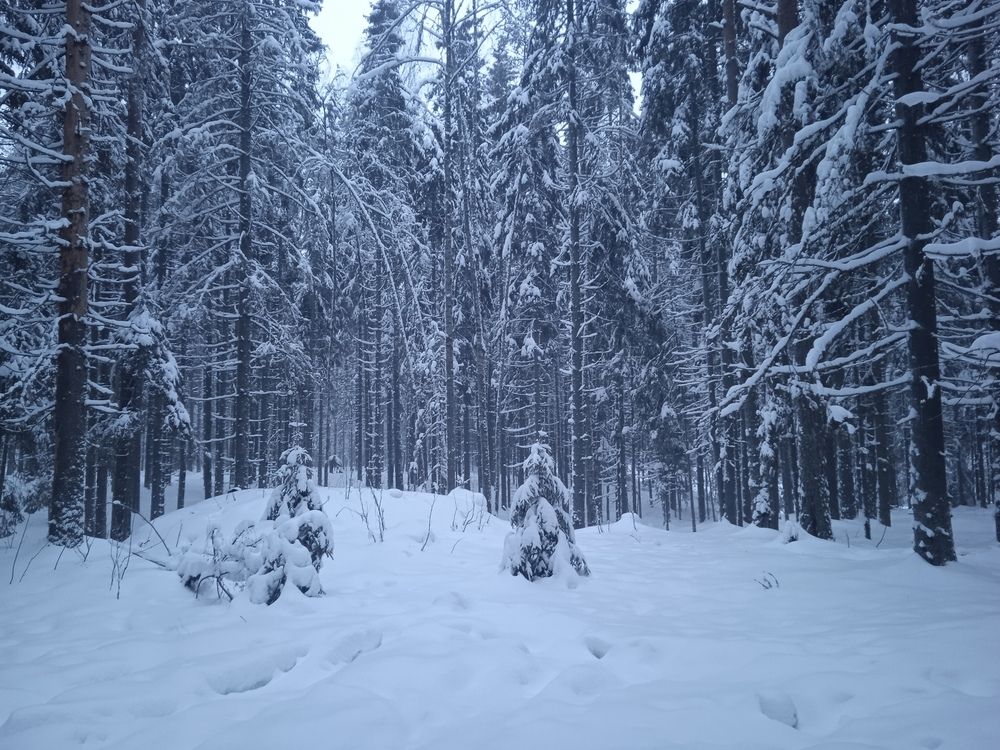 Photograph by Сергей Попов-Погасий