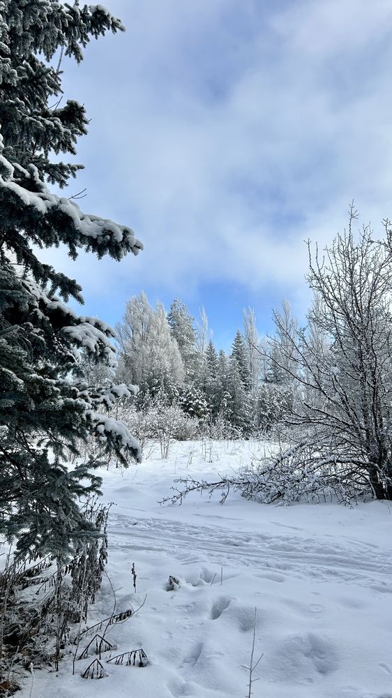 Photograph by Александра Чижова