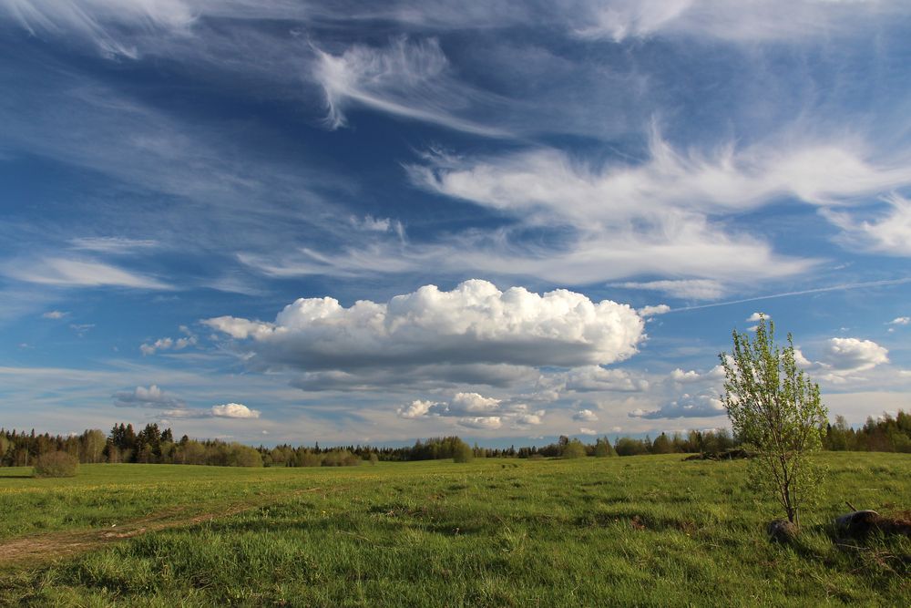 Облака над полем