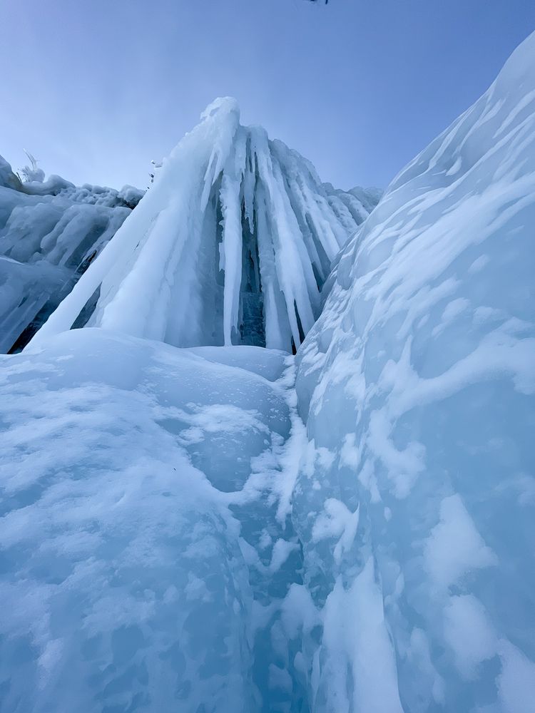 Photograph by Алина Сущинская