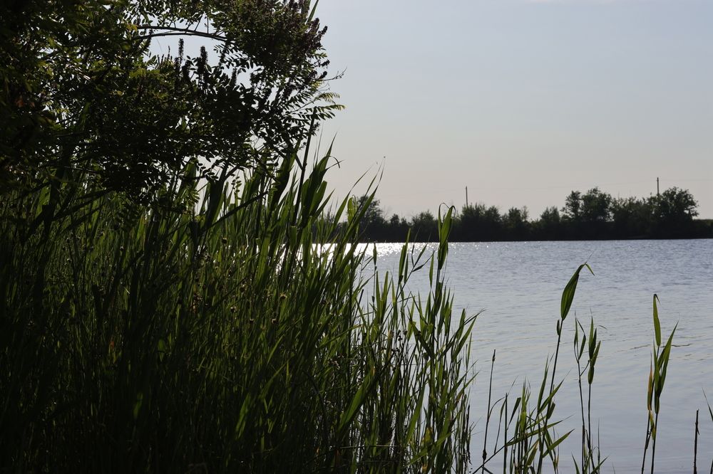 Photograph by Вячеслав Капцов