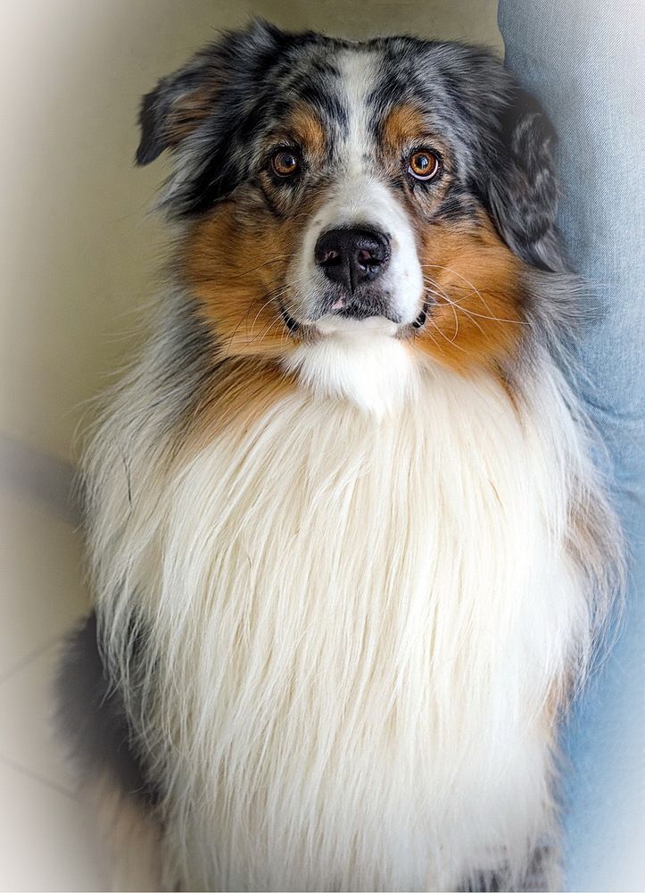 Photograph by Галина Чепиль