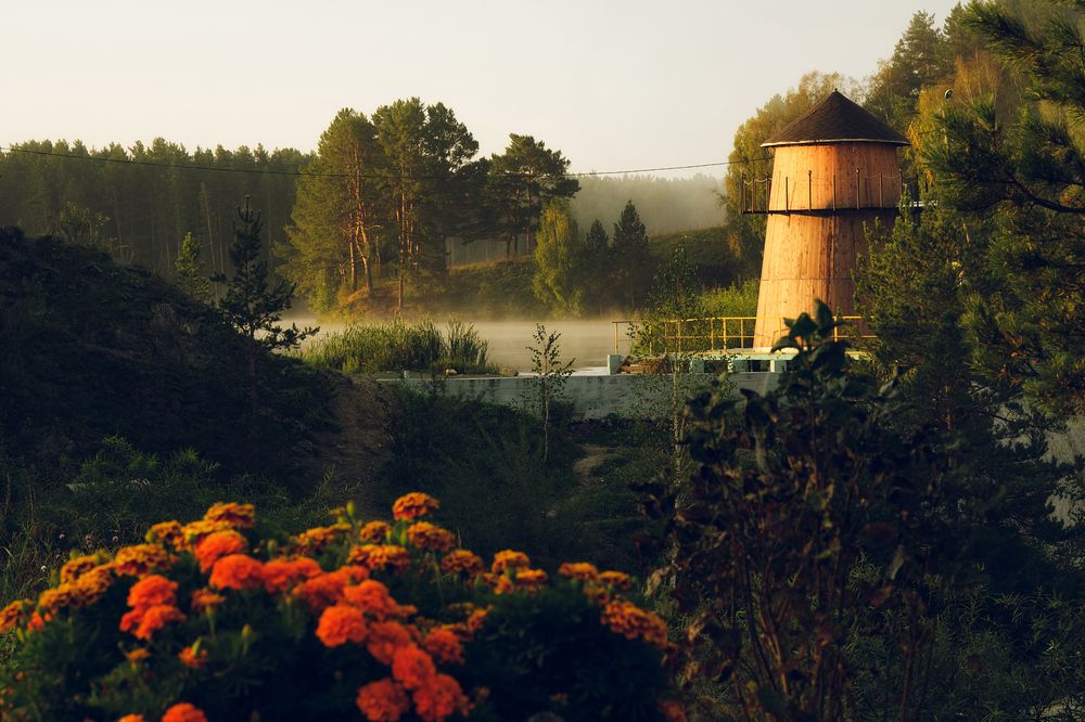 Туманное утро