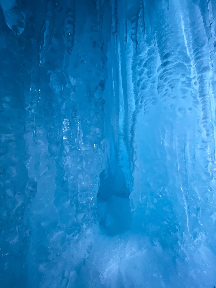 Photograph by Алина Сущинская