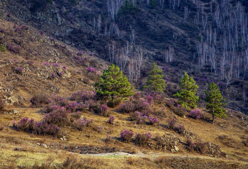 Photograph by Дмитрий Юдин