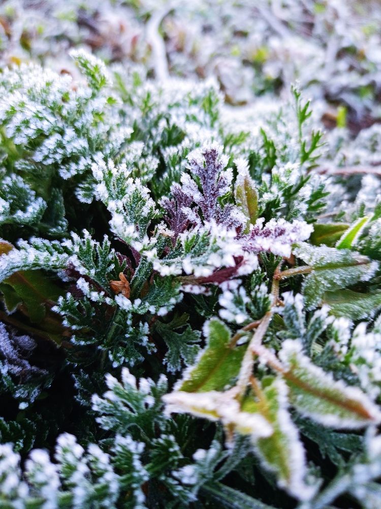 Photograph by Надежда Дойбан