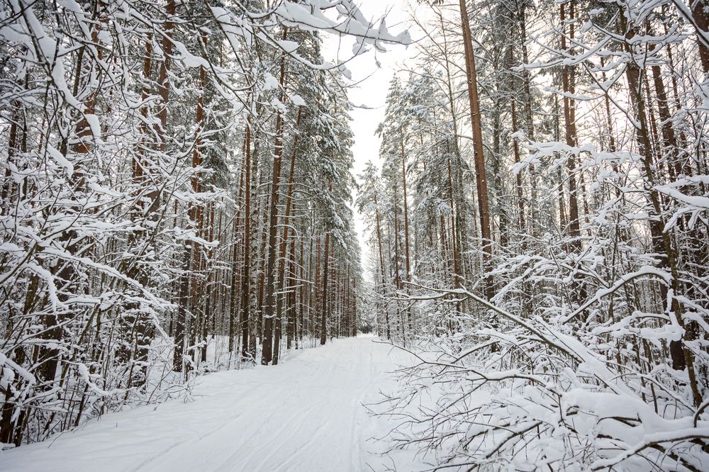 Photograph by Ксения Попова