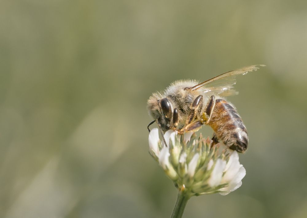 Photograph by Marjan Ostrogonac