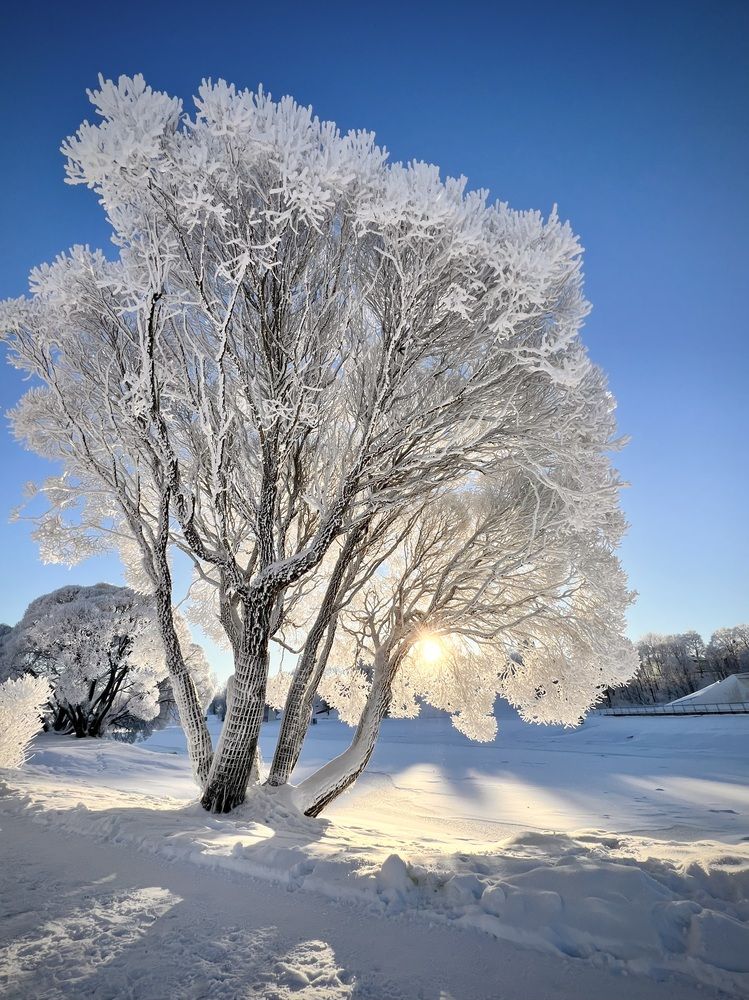 Photograph by Алексан Арт