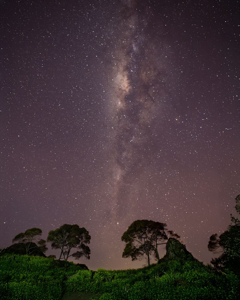 Photograph by Lugyanti Sukrisman