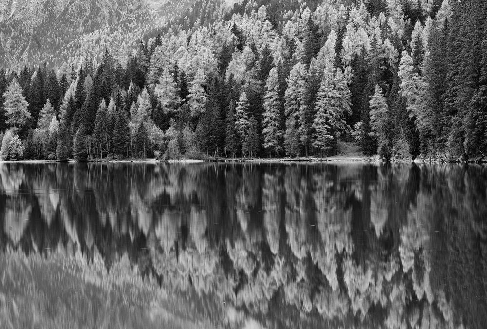 The Anterselva Lake (2024)