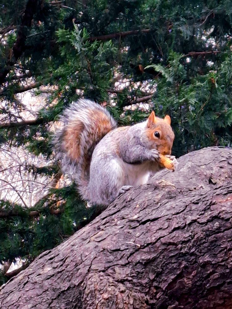 Photograph by Rina Faktor