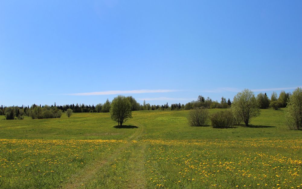Майский пейзаж