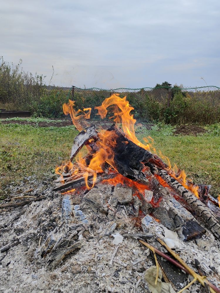 Photograph by Ольга Третьякова