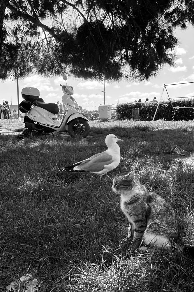 Photograph by Евгения Казакова