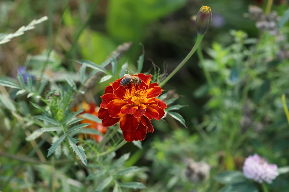 Photograph by DUBINA LEONID