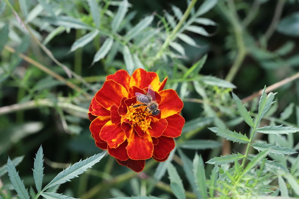 Photograph by DUBINA LEONID