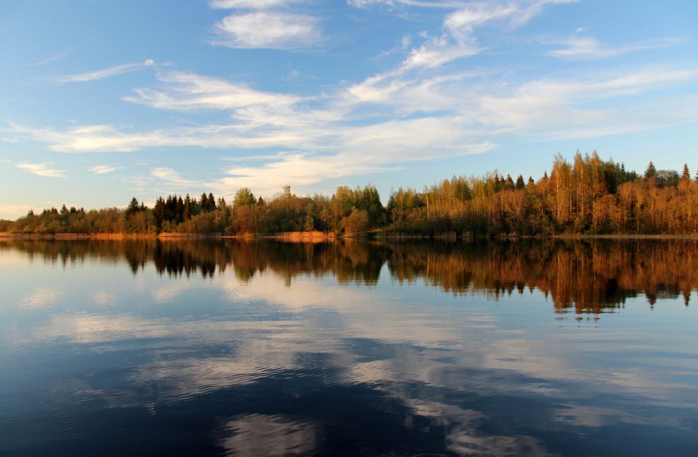 Осенний лес и облака