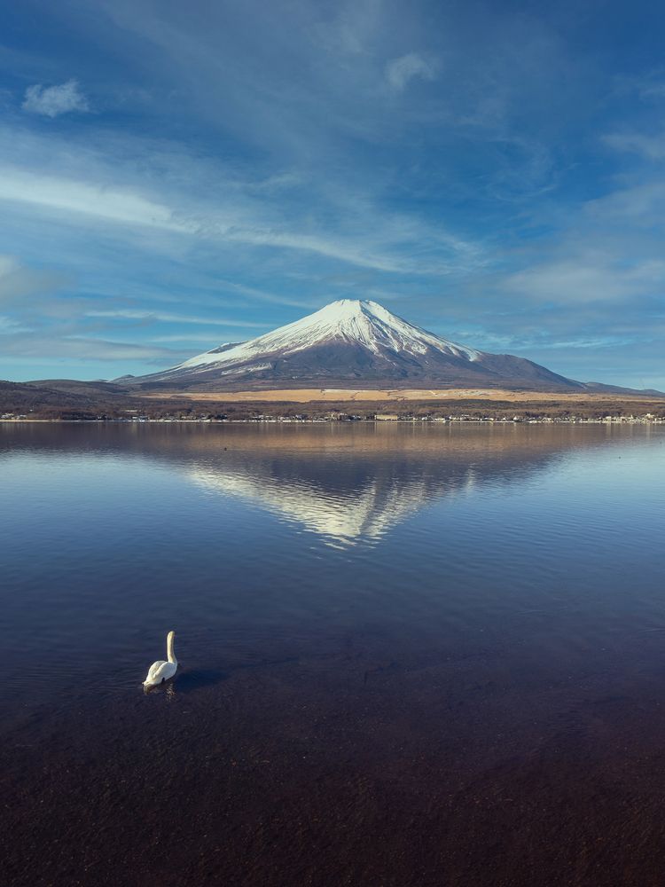 Photograph by Lugyanti Sukrisman