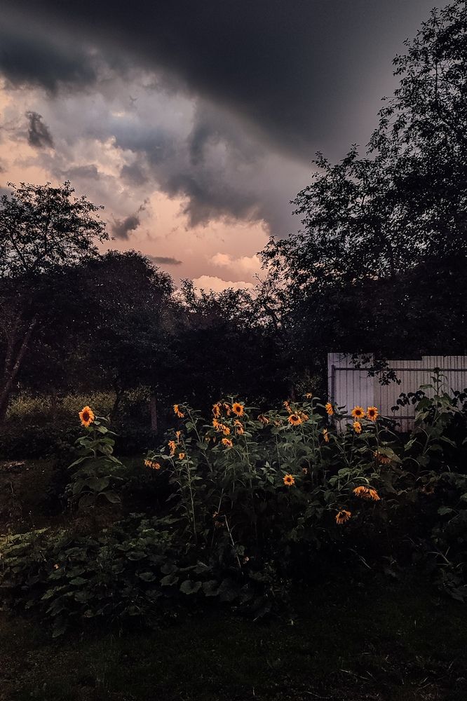 Photograph by Екатерина Кирьянова