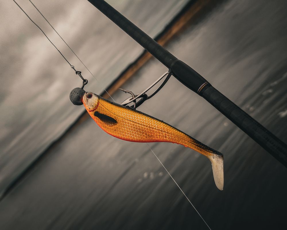 Photograph by Евгений Собашников