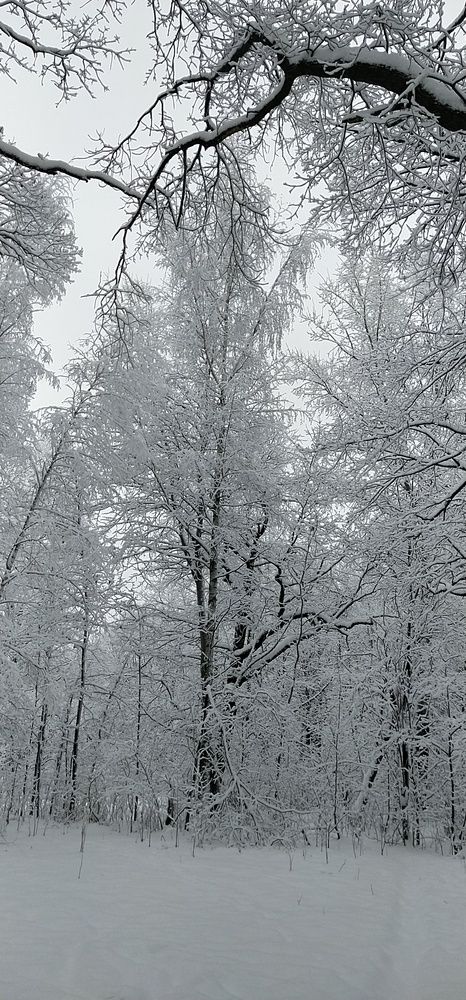 Photograph by Елена Киселёва