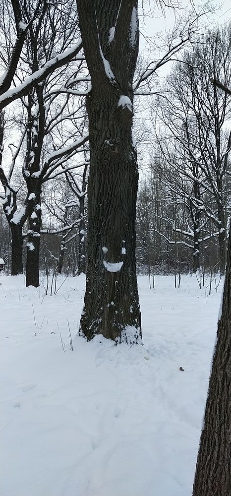 Photo #11952708